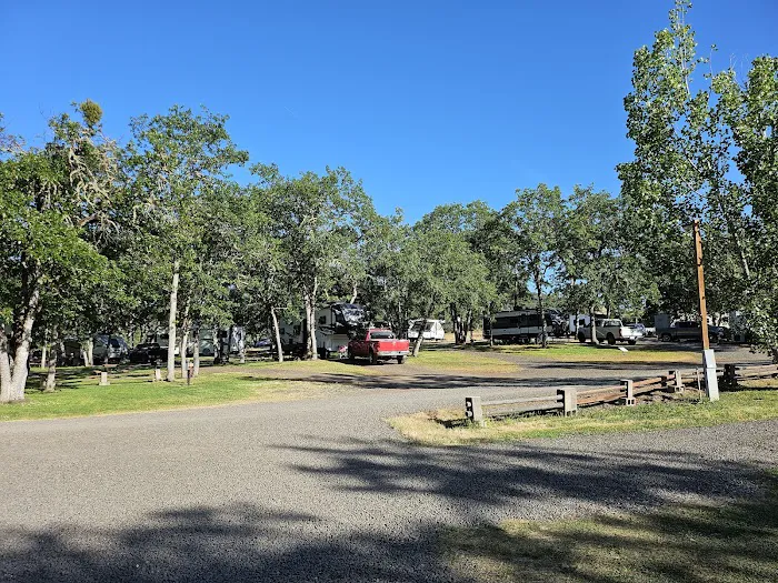 Medford Oaks RV Park Picture 4