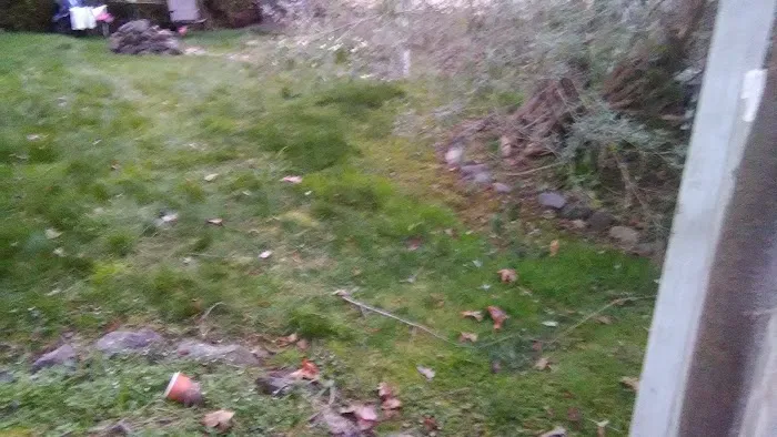 Royal Oaks Mobile Manor Picture 8