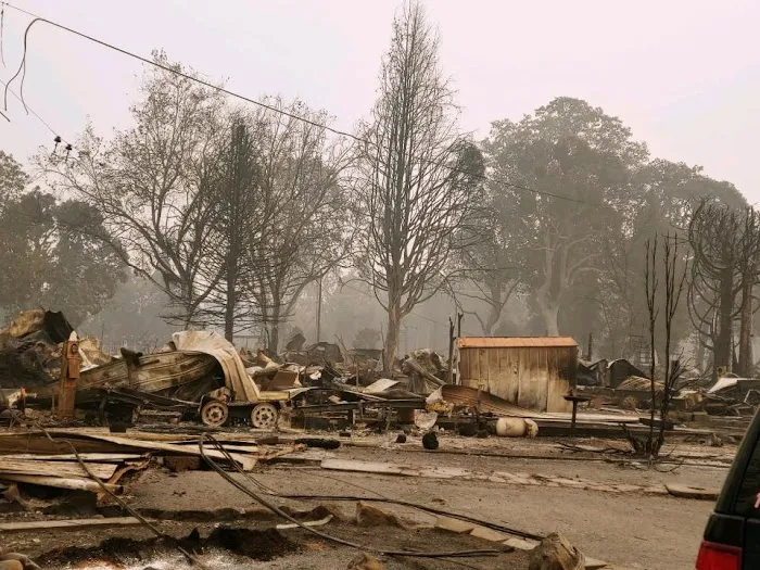 Royal Oaks Mobile Manor Picture 3