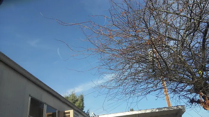 Royal Oaks Mobile Manor Picture 5