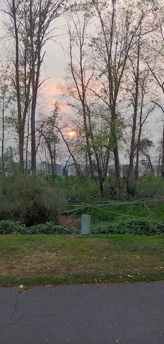 Holiday RV Park Picture 3