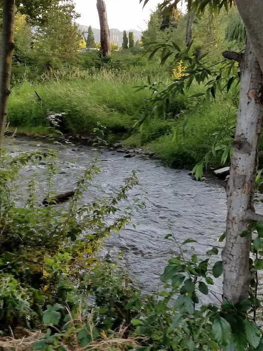 Holiday RV Park Picture 7