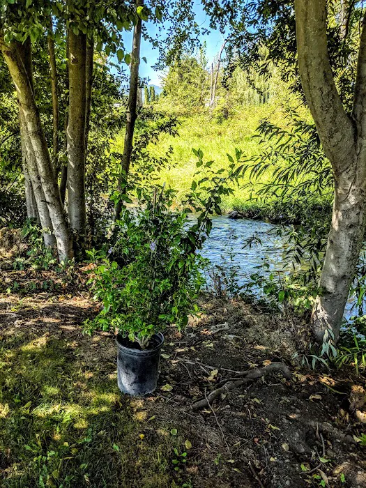 Holiday RV Park Picture 8