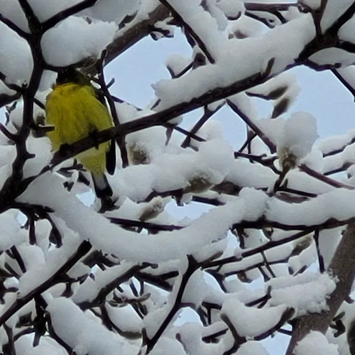 Rogue Valley South Picture 1