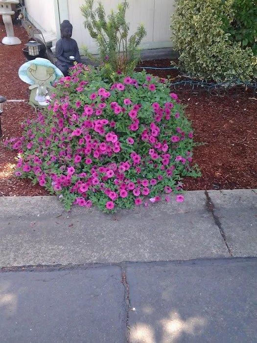 Rogue Valley South Picture 4