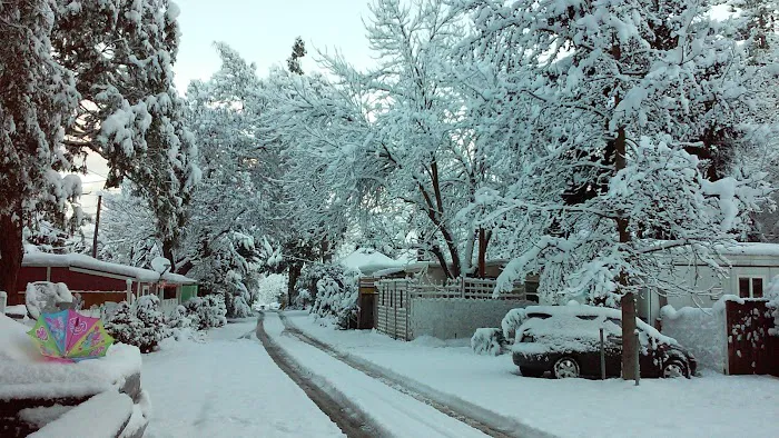 Shady Brook Mobile Home Park Picture 12