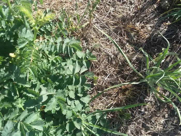 Talent Mobile Estates Picture 7