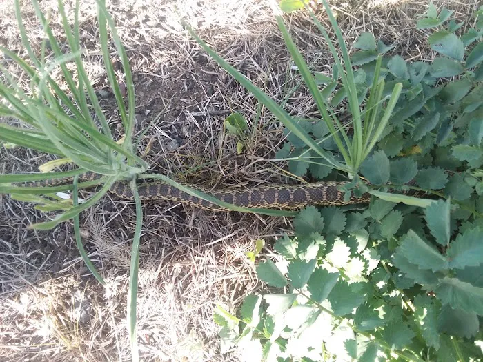 Talent Mobile Estates Picture 8