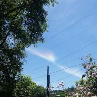 Nauvoo Park Estates ico