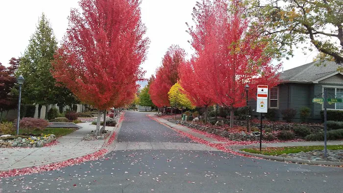 Wingspread Mobile Home Park Picture 6