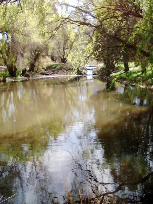 Wingspread Mobile Home Park Picture 4