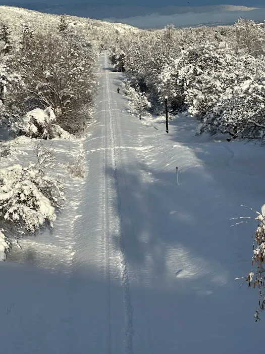 Wingspread Mobile Home Park Picture 8