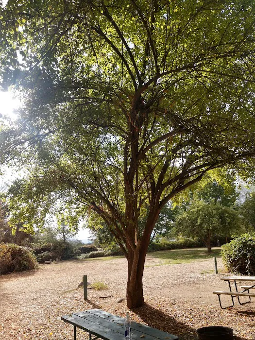 Ashland's Creekside Campground and RV Park Picture 3