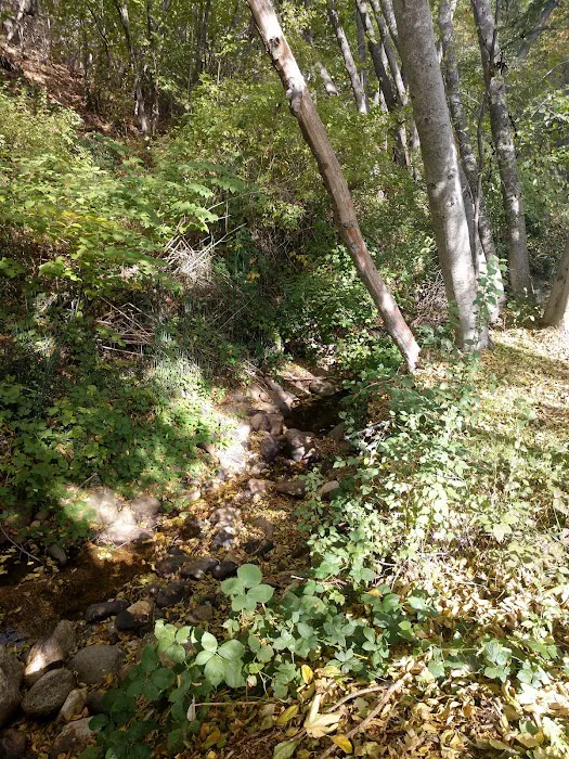 Ashland's Creekside Campground and RV Park Picture 4