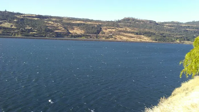 Vista Del Rio Picture 1