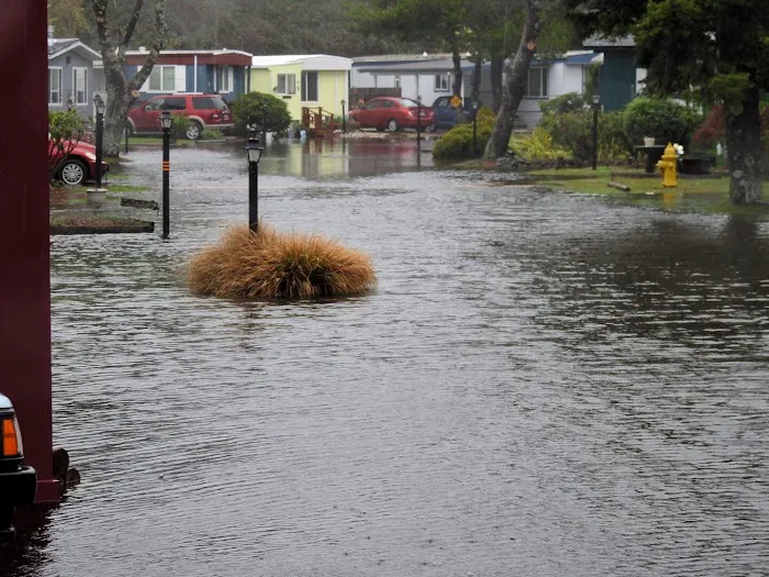 Taft Mobile Home Villa Picture 11