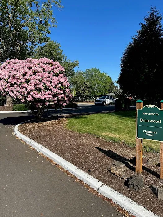 Briarwood Estates 55+ Community Picture 13