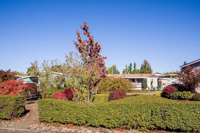 Monta Loma Estates Picture 6