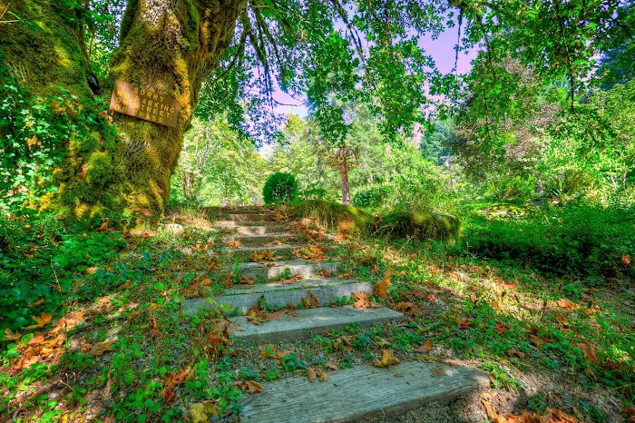 Hoodoo's Patio RV Park Picture 7