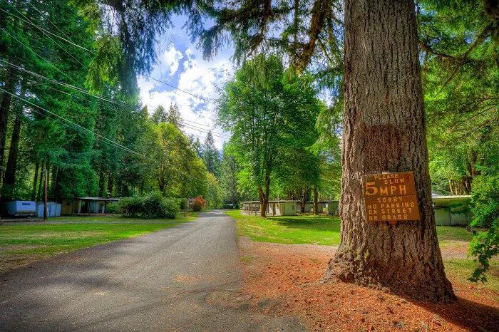 Hoodoo's Patio RV Park Picture 3