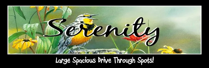 The Pointe at Lockwood 55+ Community Picture 2