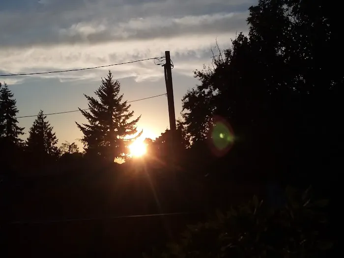 Meadowlark RV Park Picture 6