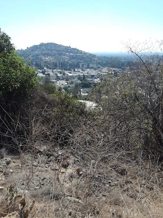Orange Crest Mobile Home Park Picture 3