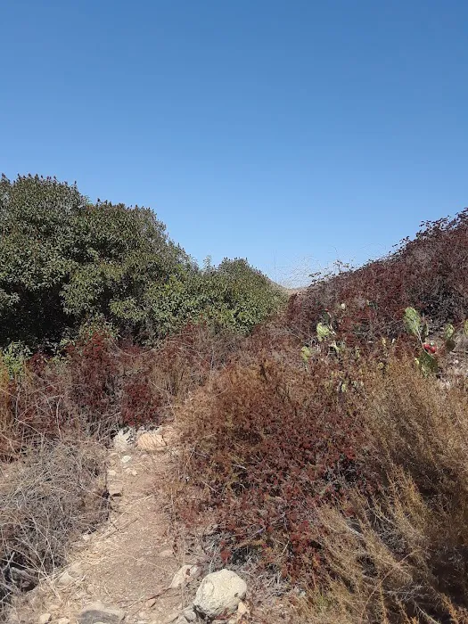 Orange Crest Mobile Home Park Picture 4