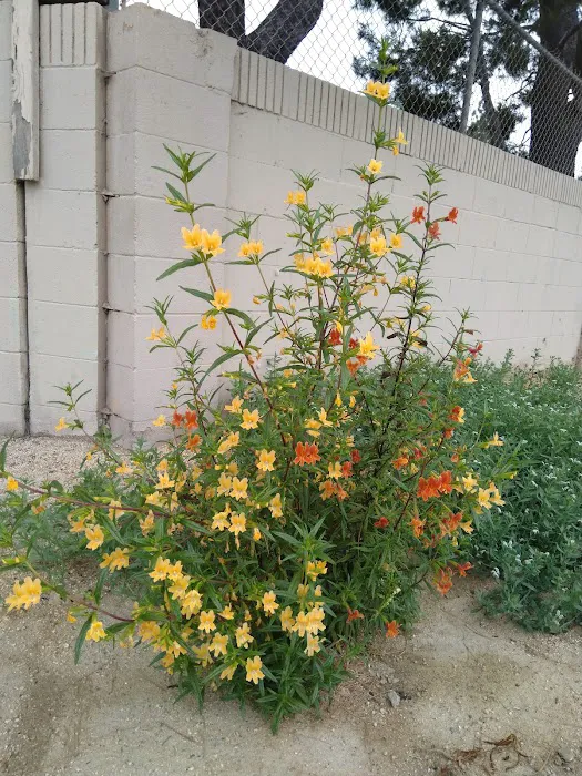Rio Vista Mobile Home Park Picture 10