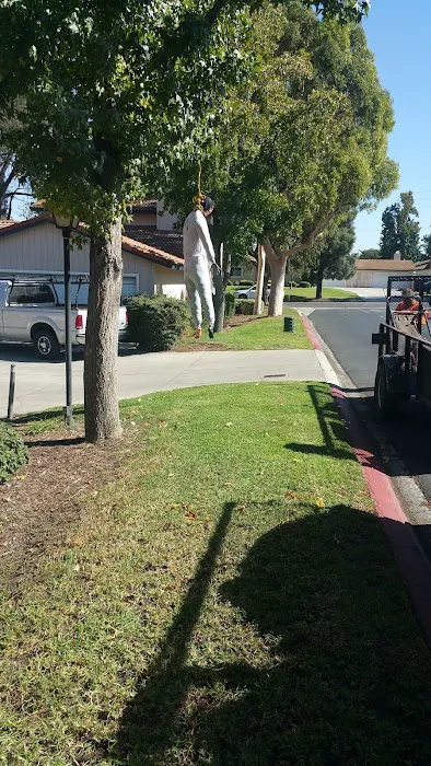 Village Grove Mobile Home Picture 7