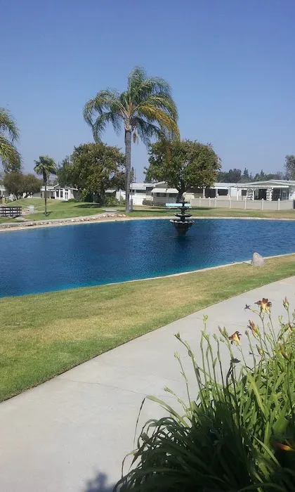 Village Grove Mobile Home Picture 9