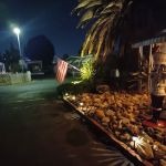 Flamingo Mobile Lodge