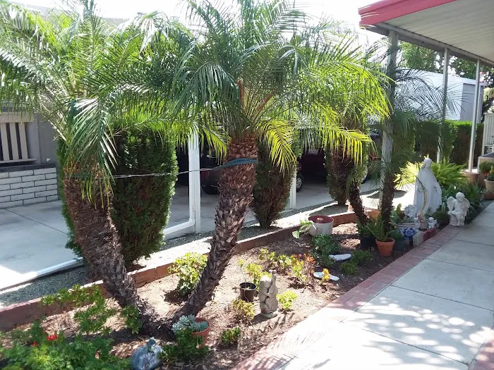 Lake Los Serranos Club Picture 9