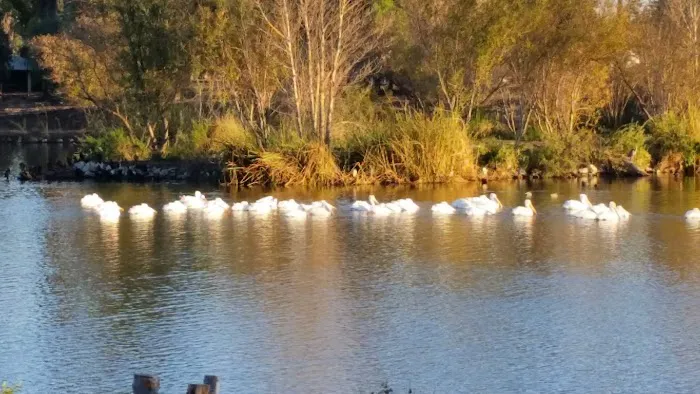 Lake Los Serranos Club Picture 6