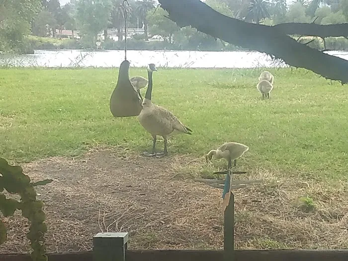 Lake Los Serranos Club Picture 3