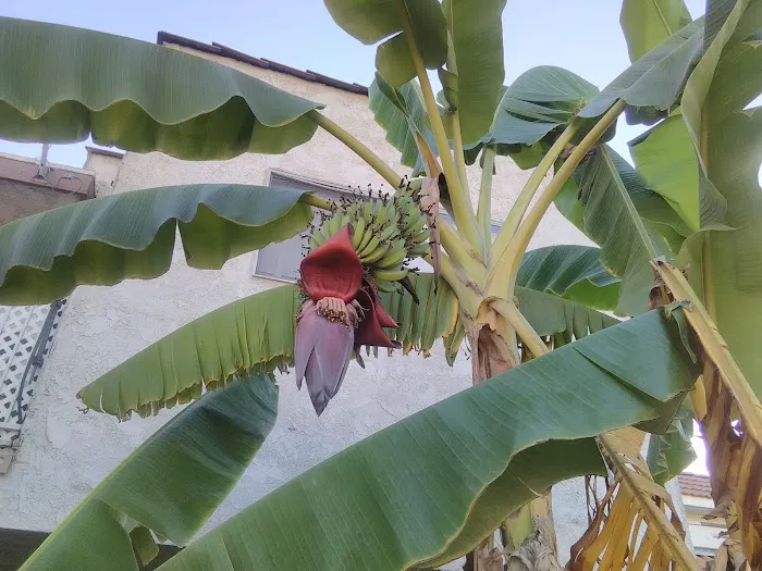 Villa Valencia Mobile Estates Picture 10