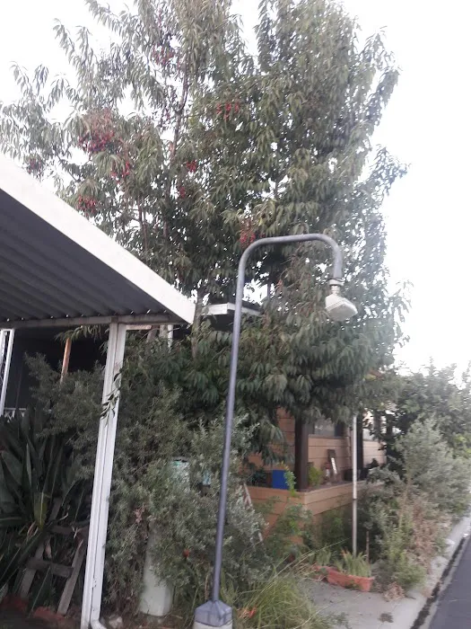 Park Royale Mobile Home Park Picture 8