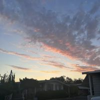 Cedarhill Estates ico