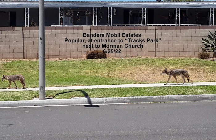 Bandera Estates Picture 2