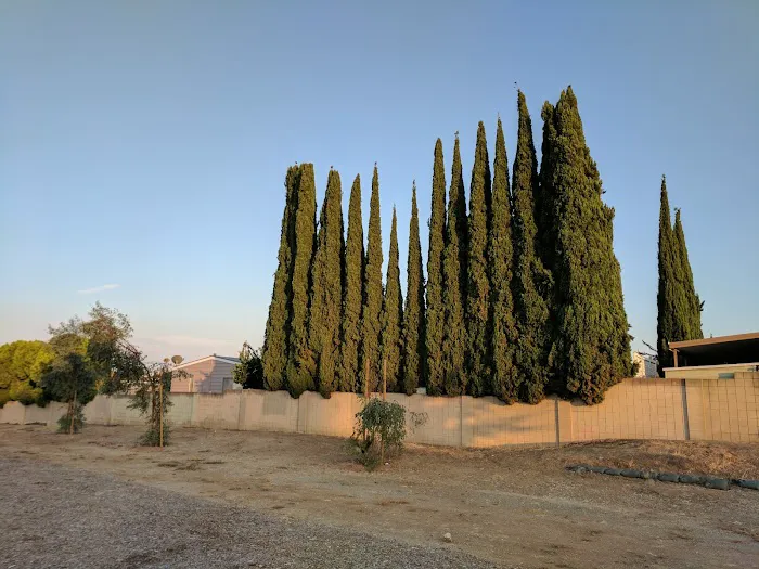 Bandera Estates Picture 5