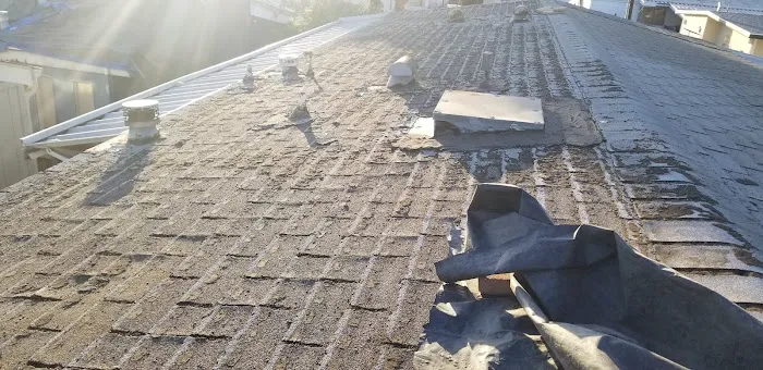 Rancho Brea Picture 2