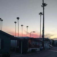 Del Ray Estates ico