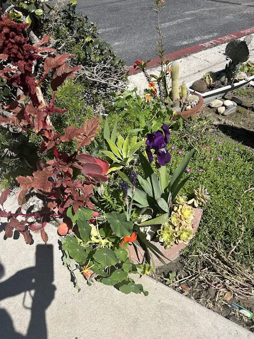 Satellite Mobile Homes Estate Picture 9