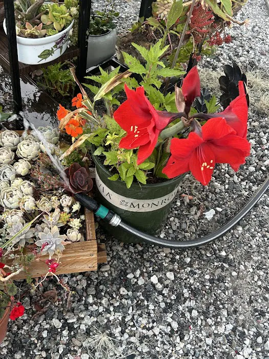 Satellite Mobile Homes Estate Picture 6