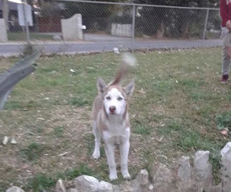 Santiago Communities Inc