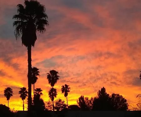 Park Lane Mobile Home Estates