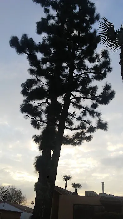 Sierra Pines Mobile Home Park Picture 1