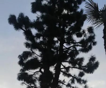 Sierra Pines Mobile Home Park