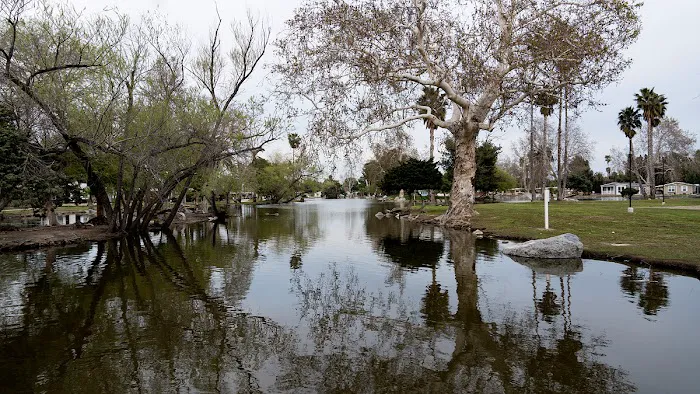 Swan Lake Mobile Home Park Picture 4