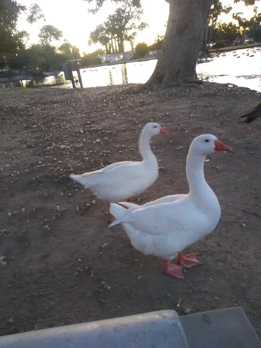 Swan Lake Mobile Home Park Picture 6